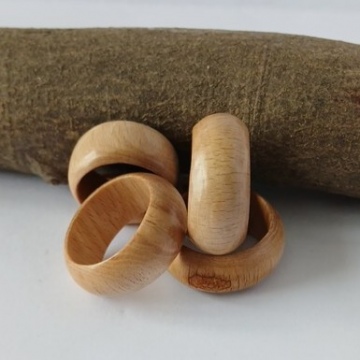 Holzringe Buche