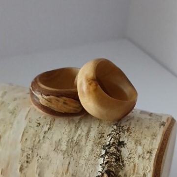 Holzringe Birke